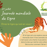 29 juillet jm du tigre