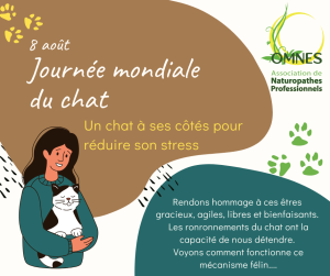 9.08 jm du chat