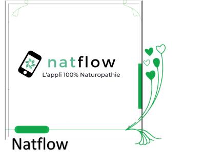 Natflow2