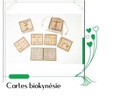 cartes biokynesie