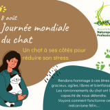 9.08 jm du chat