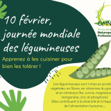 journee legumineuse