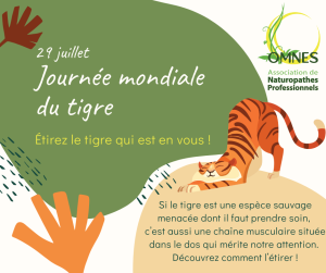 29 juillet jm du tigre