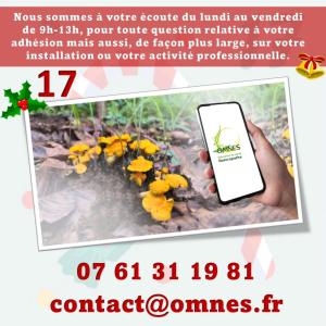 Action OMNES jour 31